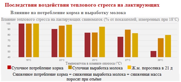 Влияние теплового стресса на продуктивность свиней